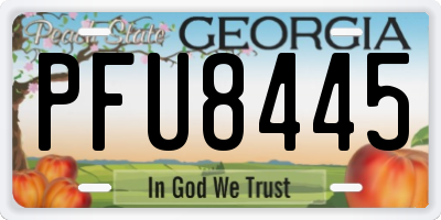 GA license plate PFU8445