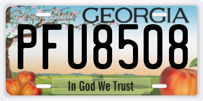 GA license plate PFU8508
