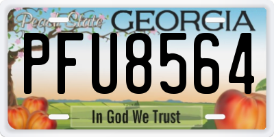 GA license plate PFU8564