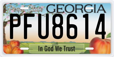GA license plate PFU8614