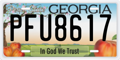 GA license plate PFU8617
