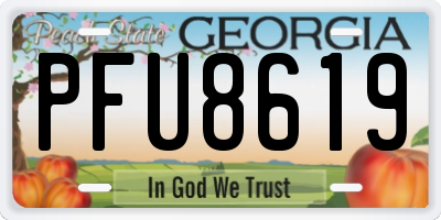 GA license plate PFU8619