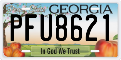 GA license plate PFU8621