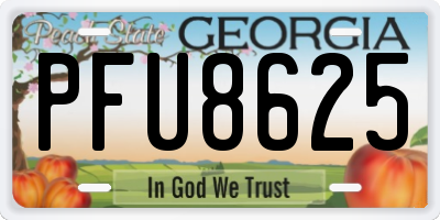 GA license plate PFU8625