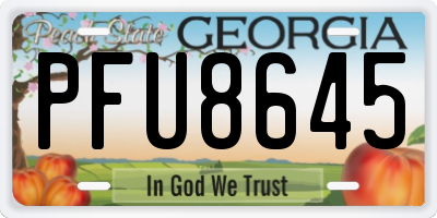 GA license plate PFU8645