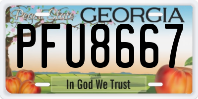 GA license plate PFU8667