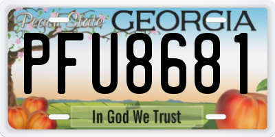 GA license plate PFU8681
