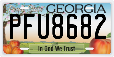 GA license plate PFU8682