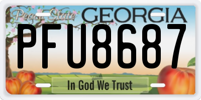 GA license plate PFU8687