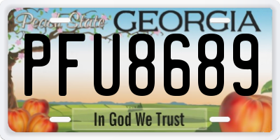 GA license plate PFU8689