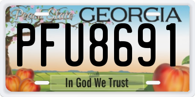 GA license plate PFU8691