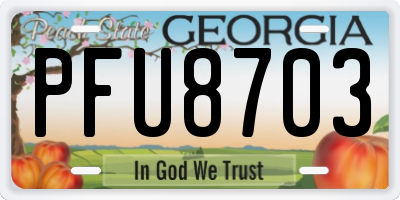 GA license plate PFU8703
