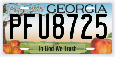 GA license plate PFU8725