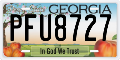 GA license plate PFU8727