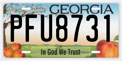 GA license plate PFU8731