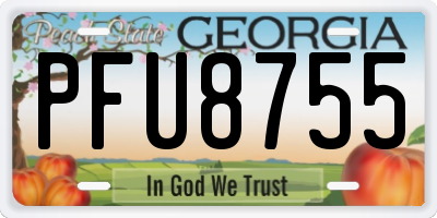 GA license plate PFU8755