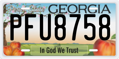 GA license plate PFU8758
