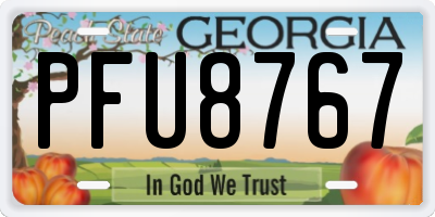 GA license plate PFU8767