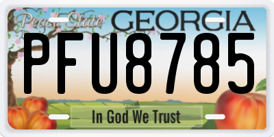 GA license plate PFU8785