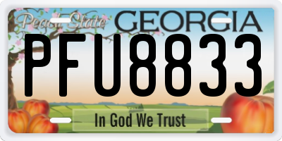 GA license plate PFU8833