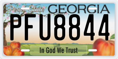 GA license plate PFU8844