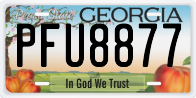 GA license plate PFU8877