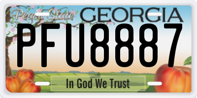 GA license plate PFU8887