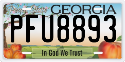 GA license plate PFU8893