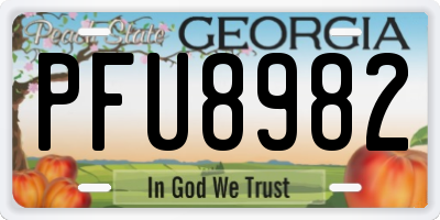 GA license plate PFU8982