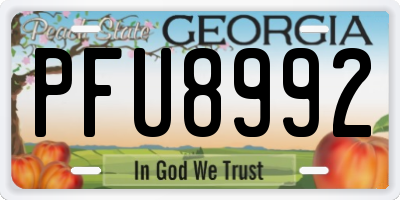 GA license plate PFU8992