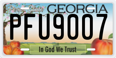 GA license plate PFU9007