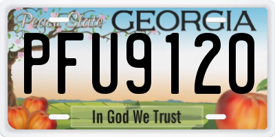 GA license plate PFU9120