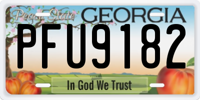 GA license plate PFU9182
