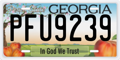 GA license plate PFU9239