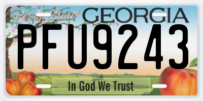 GA license plate PFU9243