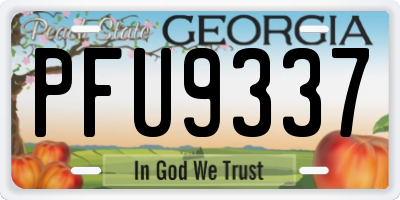 GA license plate PFU9337