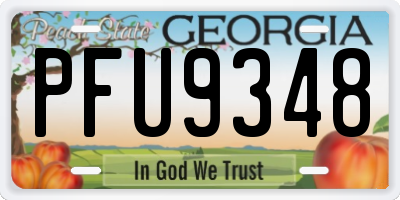 GA license plate PFU9348