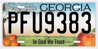 GA license plate PFU9383