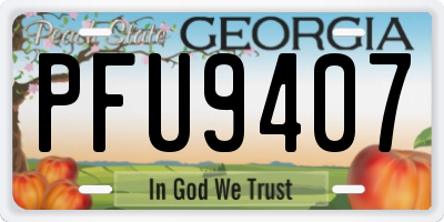 GA license plate PFU9407