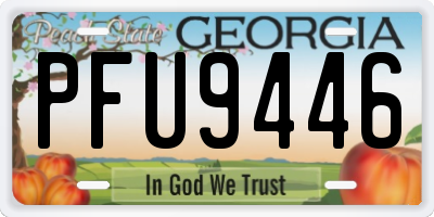 GA license plate PFU9446