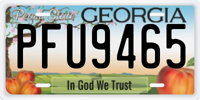 GA license plate PFU9465