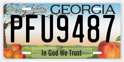 GA license plate PFU9487