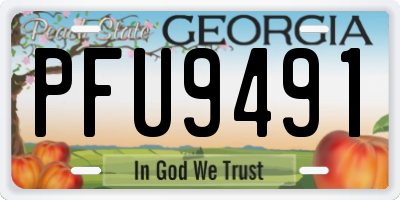 GA license plate PFU9491