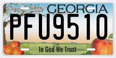 GA license plate PFU9510