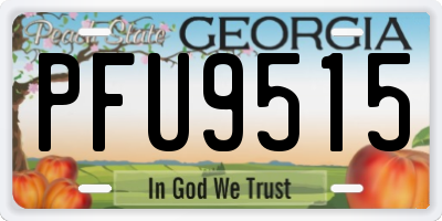 GA license plate PFU9515