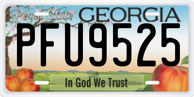 GA license plate PFU9525