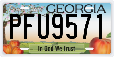 GA license plate PFU9571