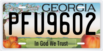 GA license plate PFU9602