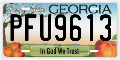 GA license plate PFU9613