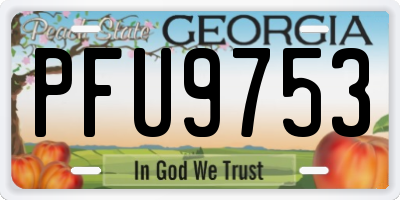 GA license plate PFU9753